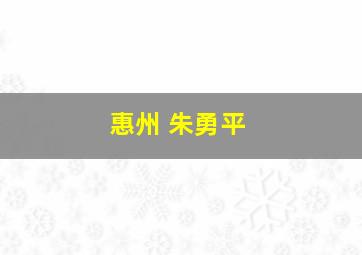 惠州 朱勇平